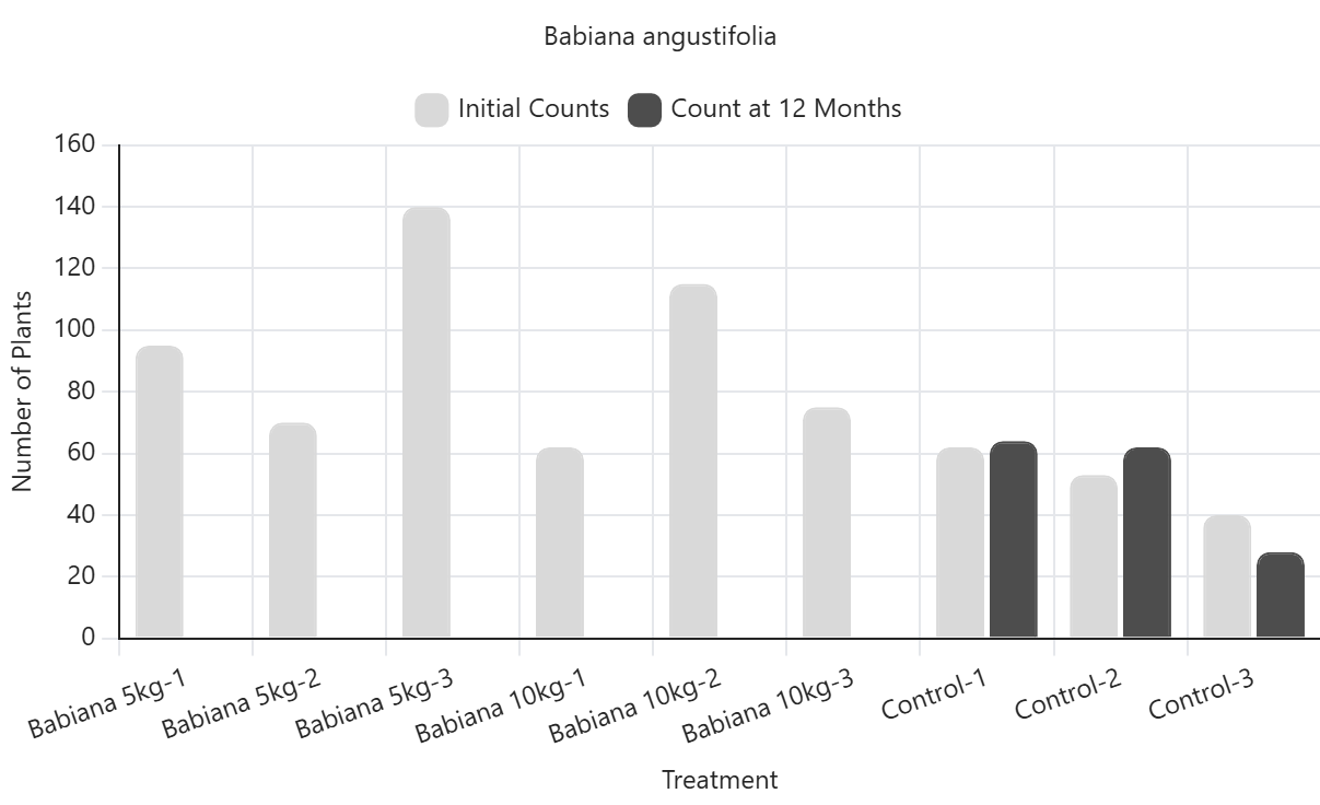 Number of Babiana plants before and after treatment