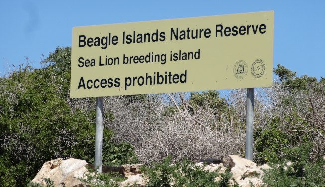 Beagle islands