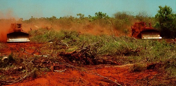 Double chaining mesquite in the Pilbara. DBCA