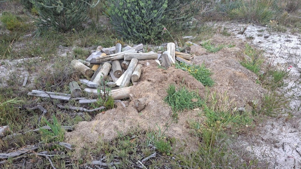 Illegally dumped garden waste including lawn clippings in a nature reserve.